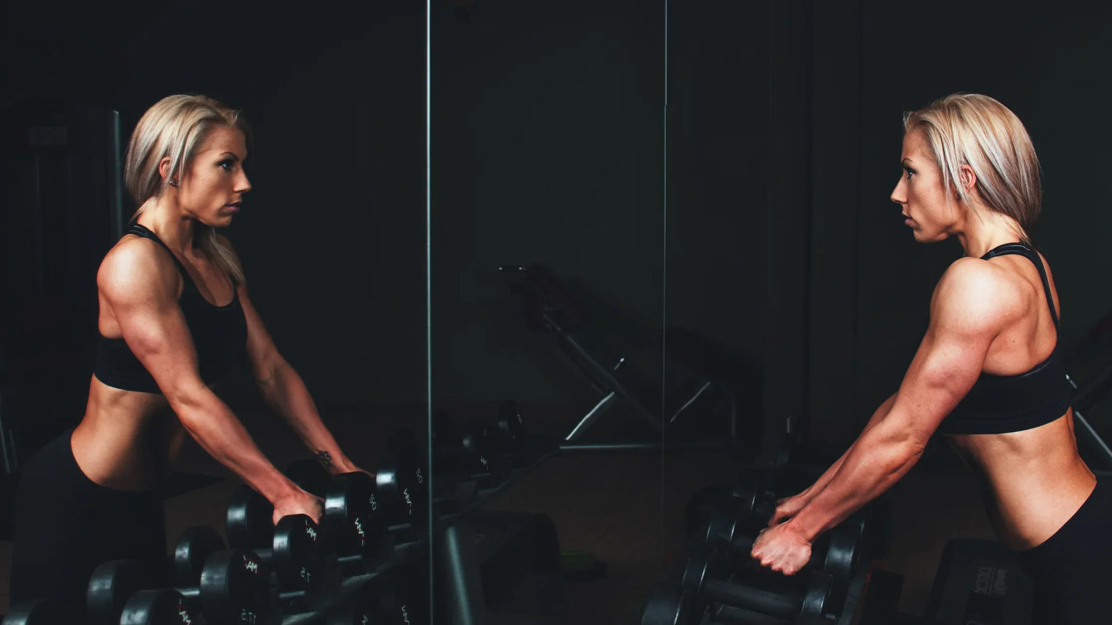 Gainer ou protéine whey : quand utiliser l'un ou l'autre pour une prise de masse réussie ?