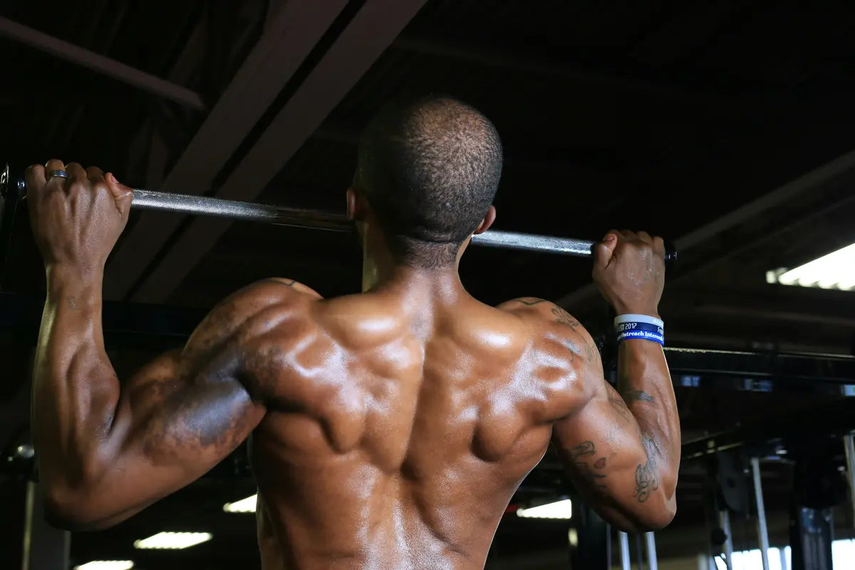 Protéines et muscles : comprendre leur lien pour mieux s’entraîner