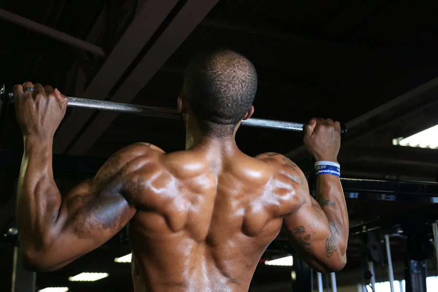 Protéines et muscles : comprendre leur lien pour mieux s’entraîner